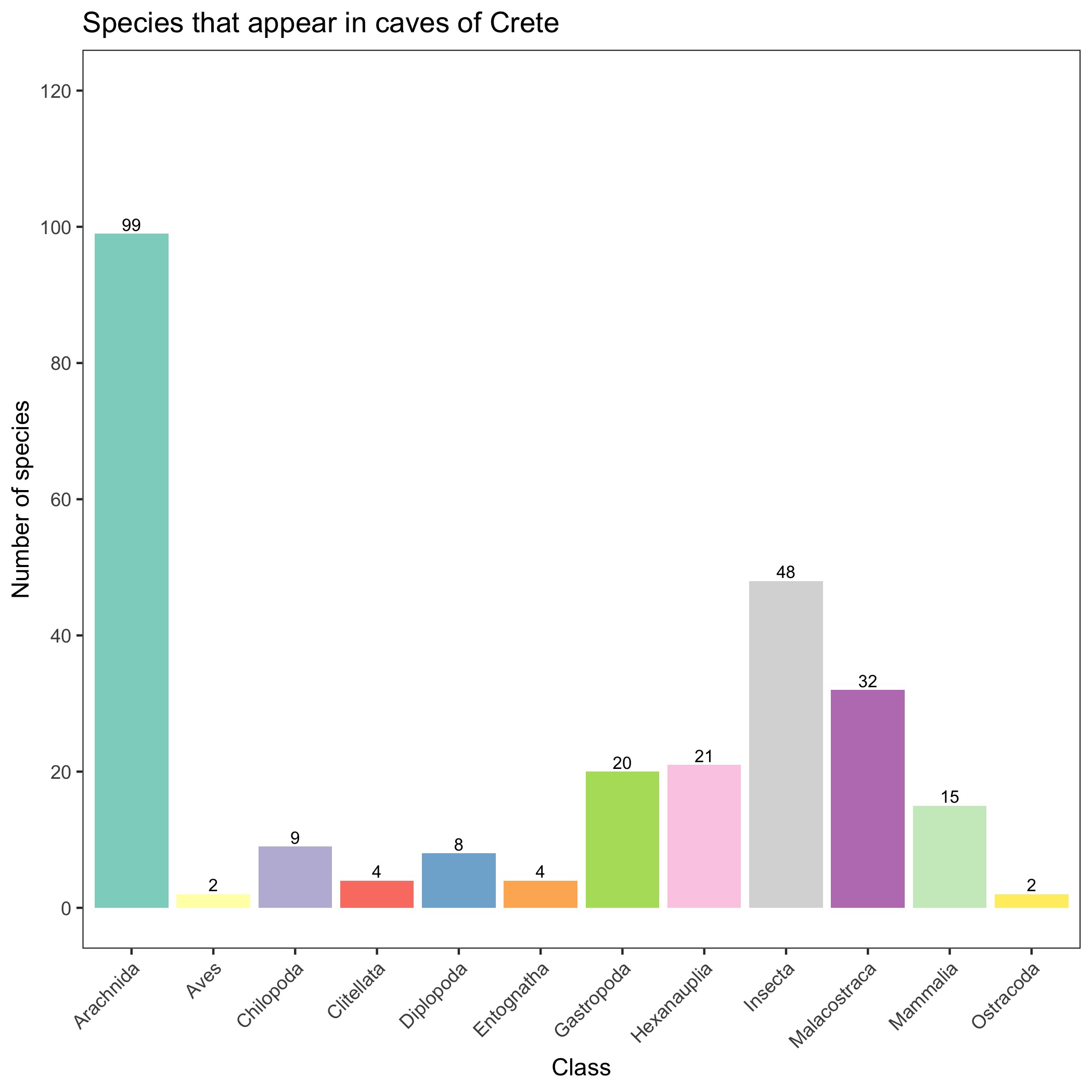 Species per class in Crete caves