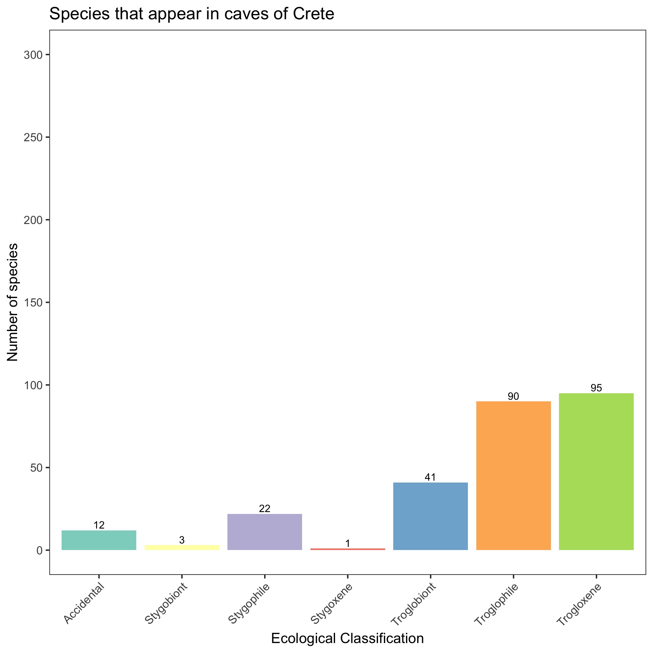 Species classification in Caves of Crete
